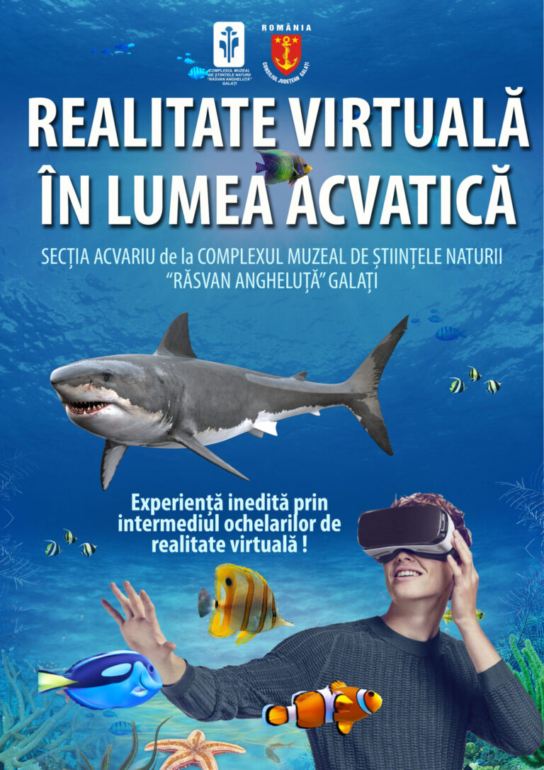 virtual a2 nou