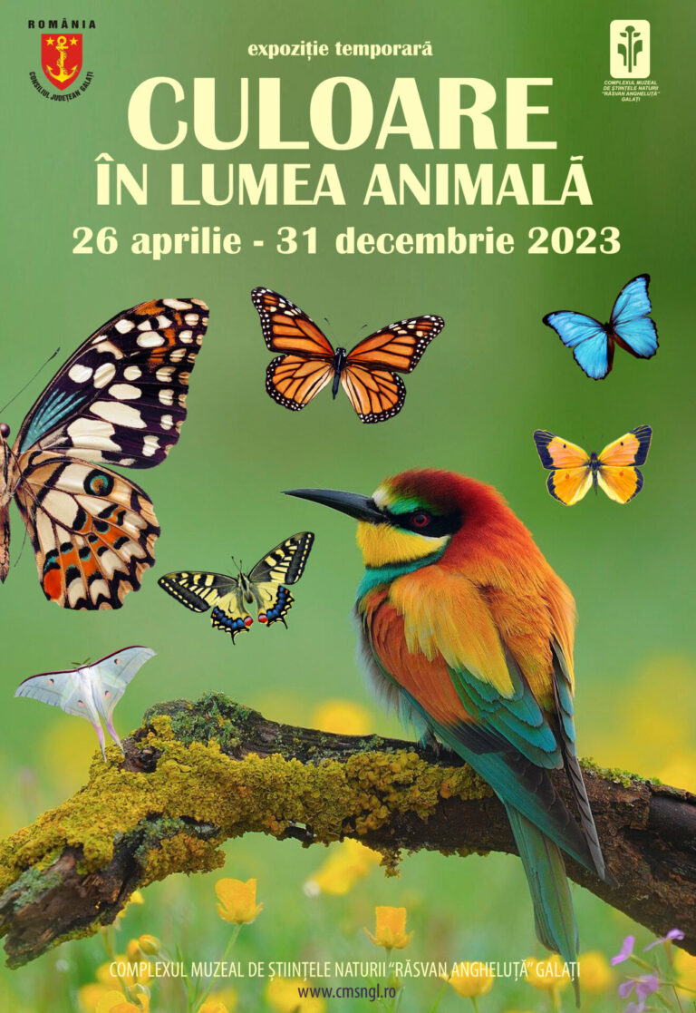 culoare in lumea animala 33x48 cm 2023