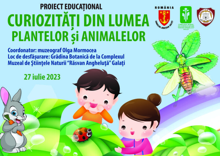 proiect curiozitati 2023