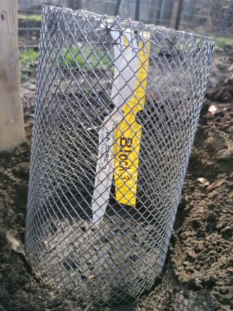 441879063 1024645219367635 3077811376466758318 n