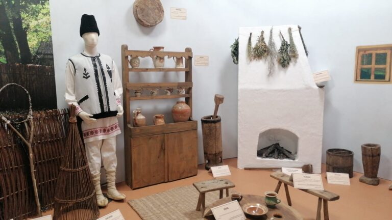 expoziția „natură și tradiție în județul galați”
