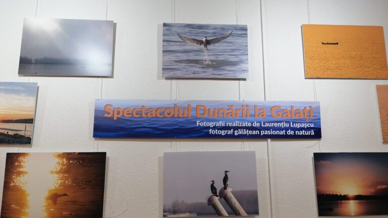 expoziția „spectacolul dunării la galați”